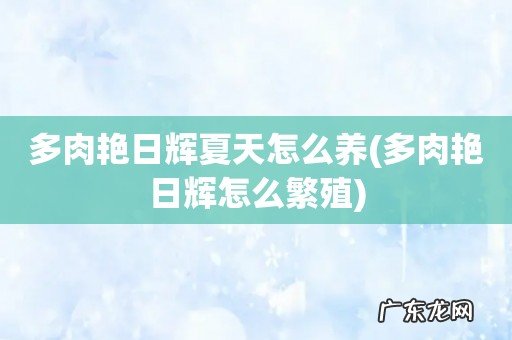 多肉艳日辉怎么繁殖 多肉艳日辉夏天怎么养