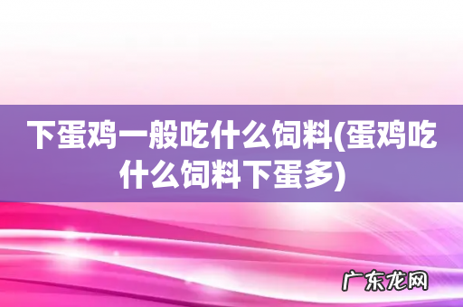 蛋鸡吃什么饲料下蛋多 下蛋鸡一般吃什么饲料
