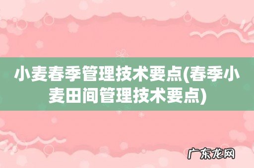 春季小麦田间管理技术要点 小麦春季管理技术要点