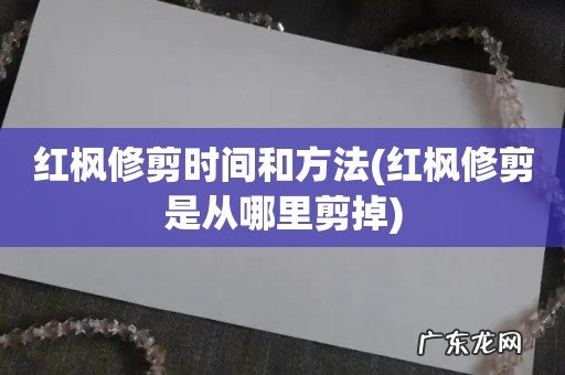 红枫修剪是从哪里剪掉 红枫修剪时间和方法