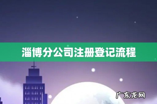 淄博分公司注册登记流程