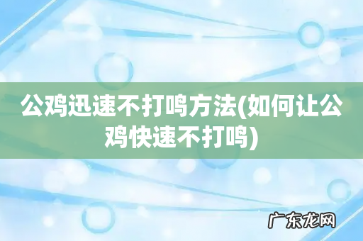 如何让公鸡快速不打鸣 公鸡迅速不打鸣方法