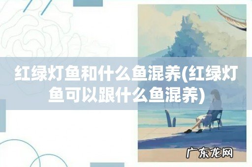 红绿灯鱼可以跟什么鱼混养 红绿灯鱼和什么鱼混养