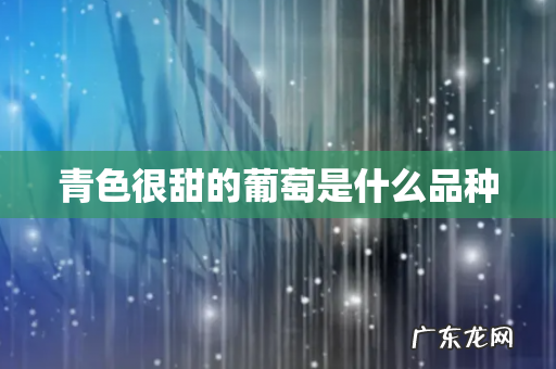 青色很甜的葡萄是什么品种