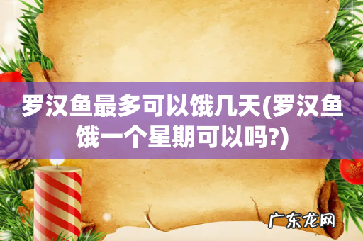 罗汉鱼饿一个星期可以吗? 罗汉鱼最多可以饿几天