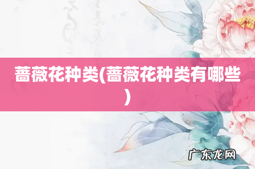 蔷薇花种类有哪些 蔷薇花种类