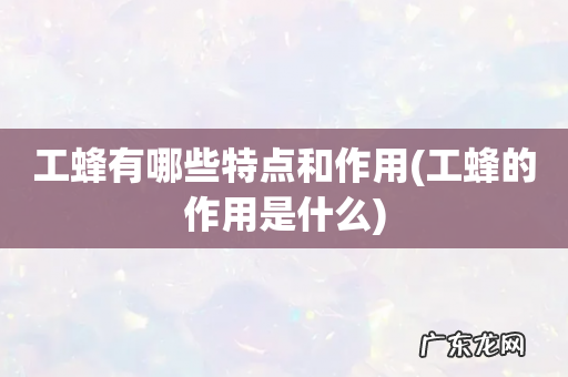 工蜂的作用是什么 工蜂有哪些特点和作用