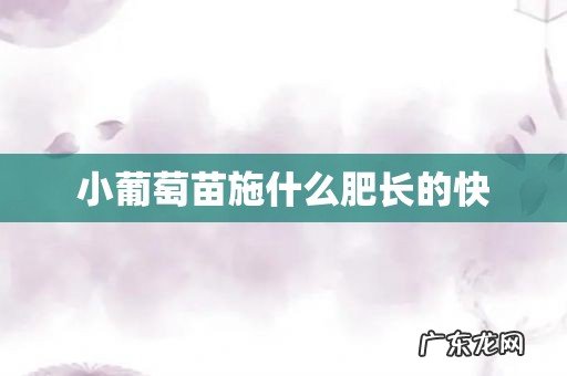 小葡萄苗施什么肥长的快