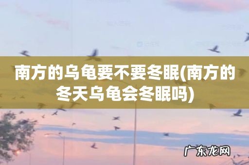 南方的冬天乌龟会冬眠吗 南方的乌龟要不要冬眠