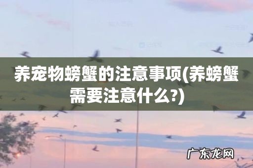 养螃蟹需要注意什么? 养宠物螃蟹的注意事项