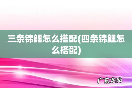 四条锦鲤怎么搭配 三条锦鲤怎么搭配