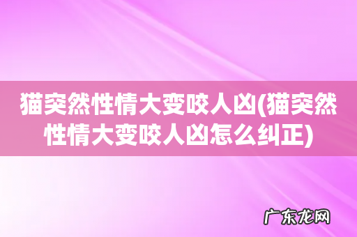 猫突然性情大变咬人凶怎么纠正 猫突然性情大变咬人凶