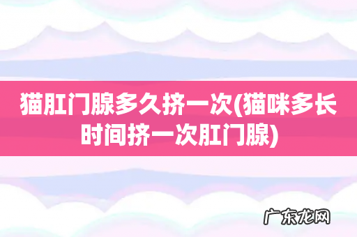 猫咪多长时间挤一次肛门腺 猫肛门腺多久挤一次