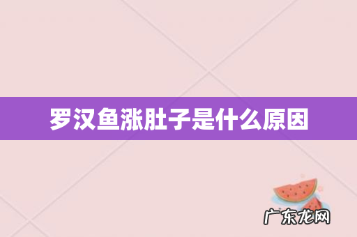 罗汉鱼涨肚子是什么原因