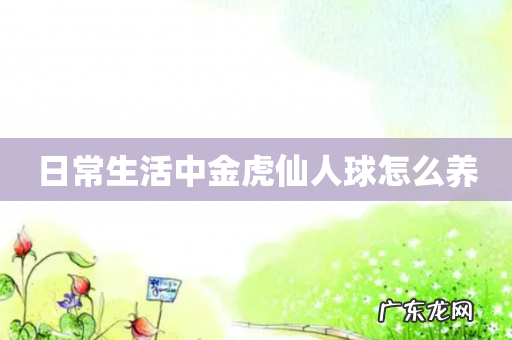 日常生活中金虎仙人球怎么养