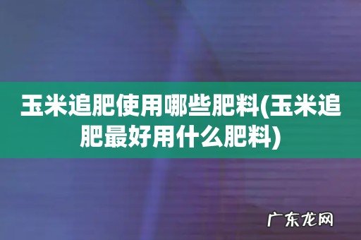 玉米追肥最好用什么肥料 玉米追肥使用哪些肥料
