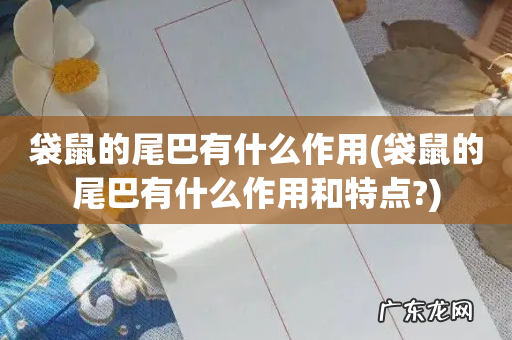 袋鼠的尾巴有什么作用和特点? 袋鼠的尾巴有什么作用