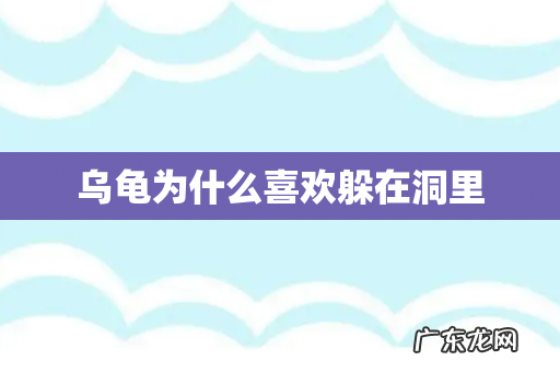 乌龟为什么喜欢躲在洞里