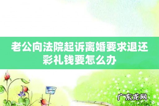 老公向法院起诉离婚要求退还彩礼钱要怎么办