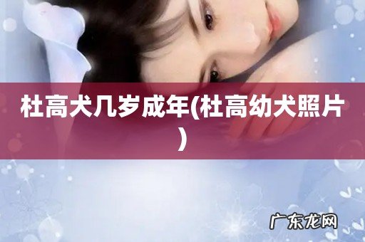 杜高幼犬照片 杜高犬几岁成年