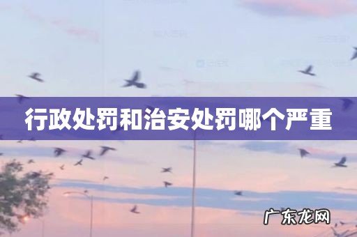 行政处罚和治安处罚哪个严重