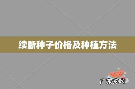 续断种子价格及种植方法