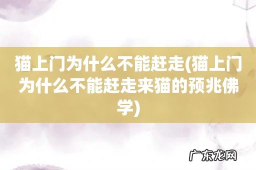 猫上门为什么不能赶走来猫的预兆佛学 猫上门为什么不能赶走