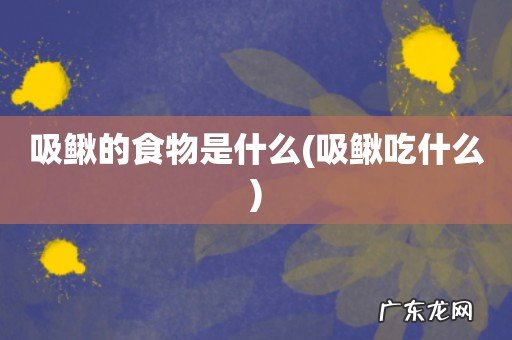 吸鳅吃什么 吸鳅的食物是什么