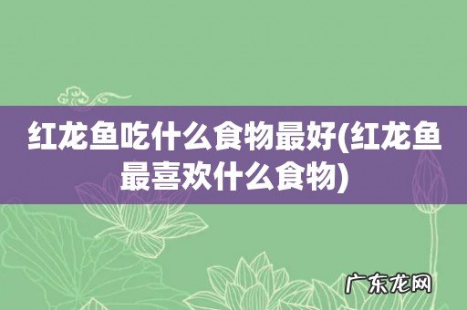 红龙鱼最喜欢什么食物 红龙鱼吃什么食物最好