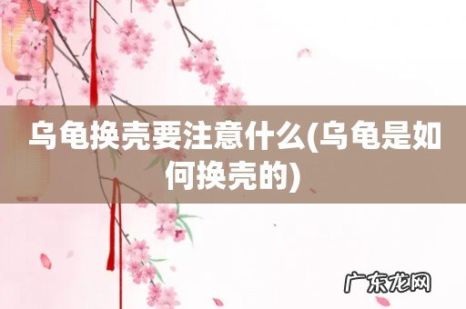 乌龟是如何换壳的 乌龟换壳要注意什么