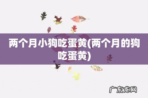 两个月的狗吃蛋黄 两个月小狗吃蛋黄