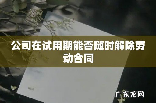 公司在试用期能否随时解除劳动合同