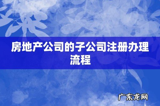 房地产公司的子公司注册办理流程