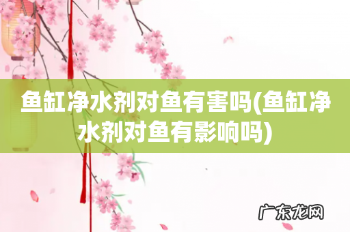 鱼缸净水剂对鱼有影响吗 鱼缸净水剂对鱼有害吗