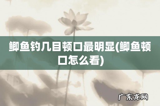 鲫鱼顿口怎么看 鲫鱼钓几目顿口最明显