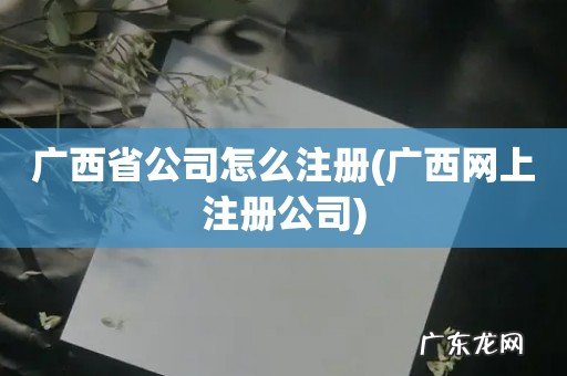 广西网上注册公司 广西省公司怎么注册
