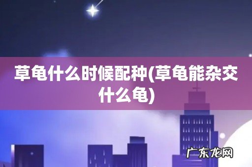 草龟能杂交什么龟 草龟什么时候配种