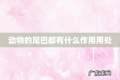 动物的尾巴都有什么作用用处