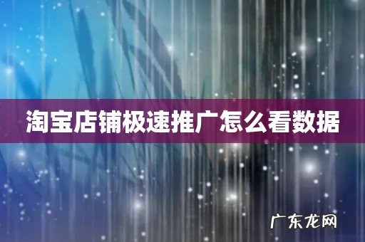 淘宝店铺极速推广怎么看数据