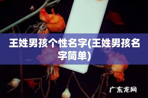 王姓男孩名字简单 王姓男孩个性名字