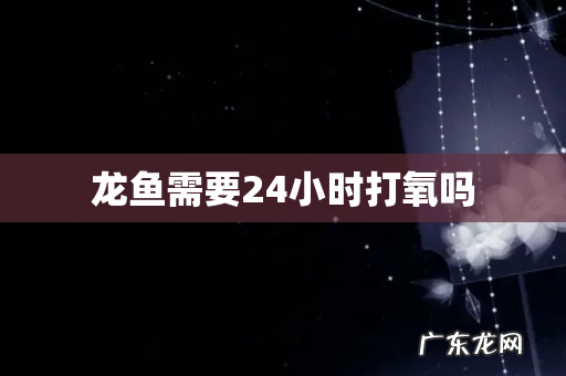 龙鱼需要24小时打氧吗