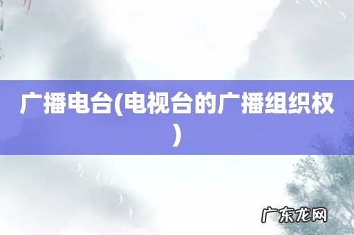 电视台的广播组织权 广播电台