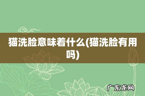 猫洗脸有用吗 猫洗脸意味着什么