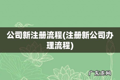 注册新公司办理流程 公司新注册流程