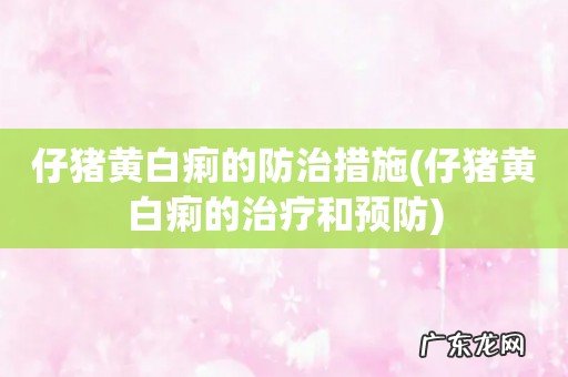 仔猪黄白痢的治疗和预防 仔猪黄白痢的防治措施