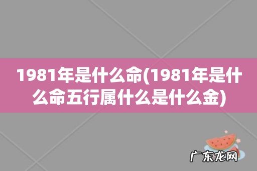 1981年是什么命五行属什么是什么金 1981年是什么命