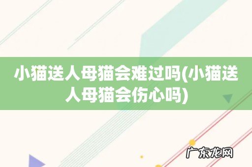 小猫送人母猫会伤心吗 小猫送人母猫会难过吗