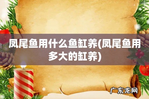 凤尾鱼用多大的缸养 凤尾鱼用什么鱼缸养