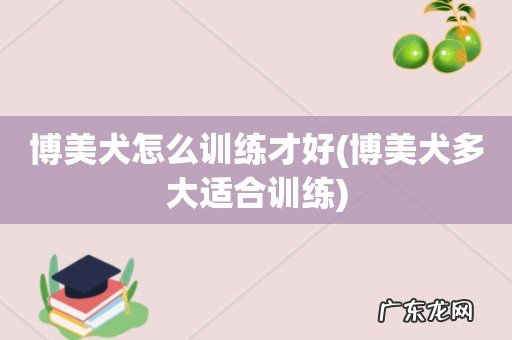 博美犬多大适合训练 博美犬怎么训练才好