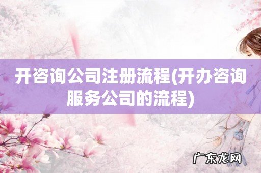开办咨询服务公司的流程 开咨询公司注册流程